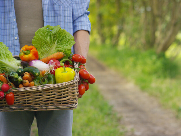 Шесть огородных культур, гарантирующих обильный сбор плодов и овощей