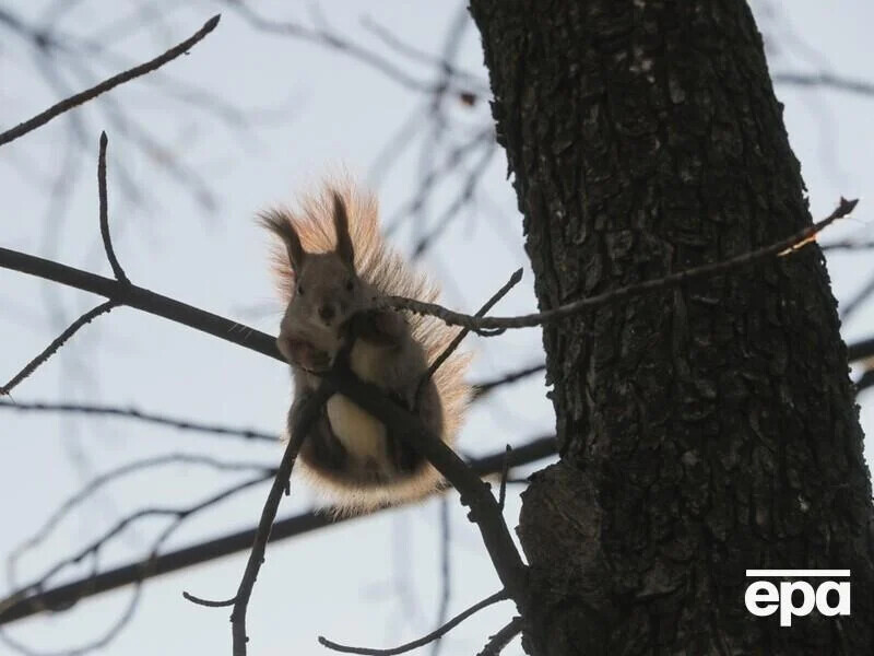 Порывы ветра до 20 м/с. Синоптик рассказала, какой будет погода 18 января