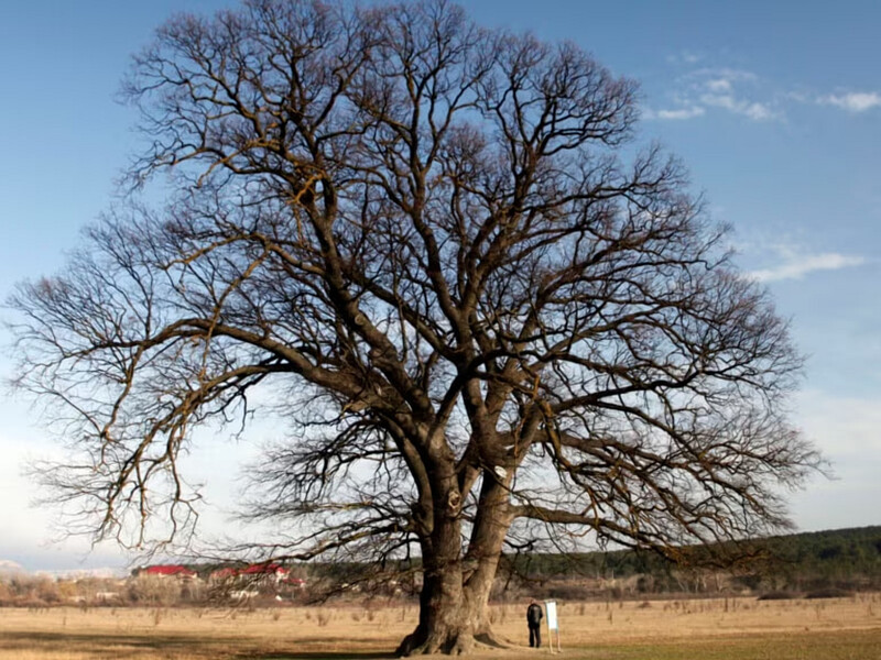 Без Кутузовского фонтана и Суворовского дуба. Правительство переименовало 22 географических объекта в Крыму