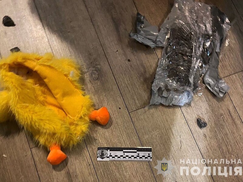 "Взрывчатка в мягкой игрушке". СБУ заявила, что предотвратила теракт в Житомире. Фото