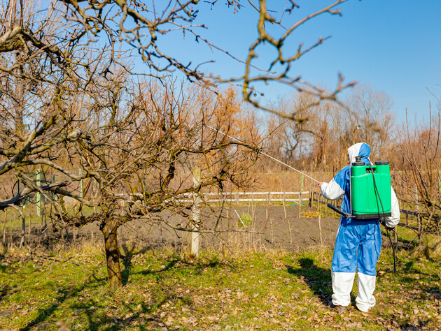 Сделайте это перед первой обработкой сада – и соберете щедрый урожай. Проверенные лайфхаки от садоводов
