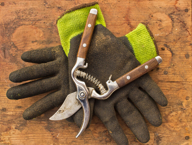 Проведите лезвием по точильному камню или кожаному ремню. Как правильно точить садовый инструмент