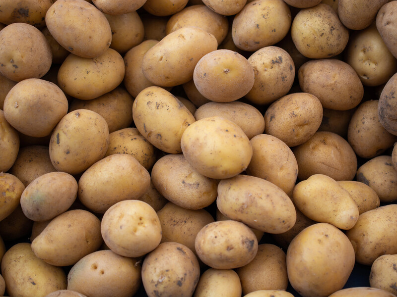 Поместите это в лунке, чтобы увеличить урожайность картофеля в разы