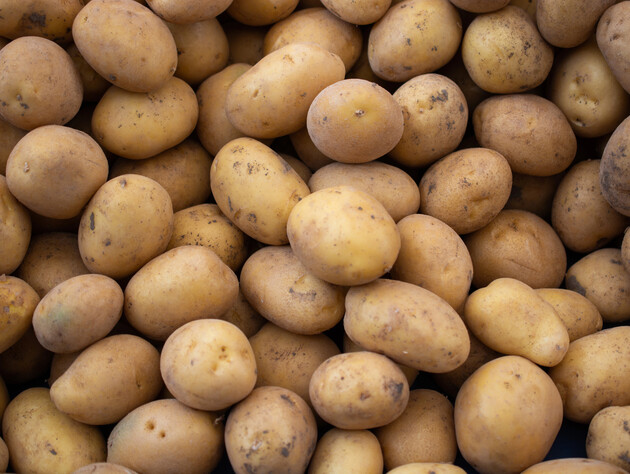 Помістіть це в лунці, щоб набагато збільшити врожайність картоплі