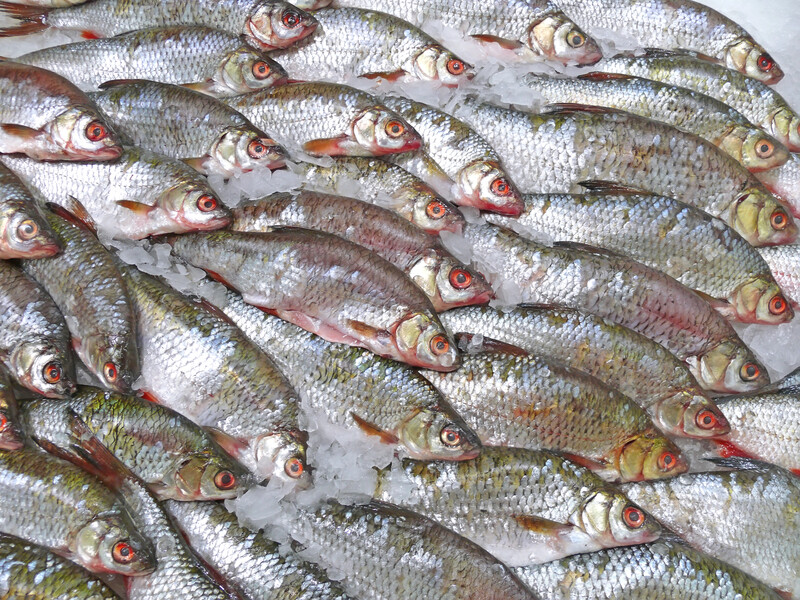 В Донецке тела оккупантов хранят в холодильниках на рыбзаводе – "Атеш"