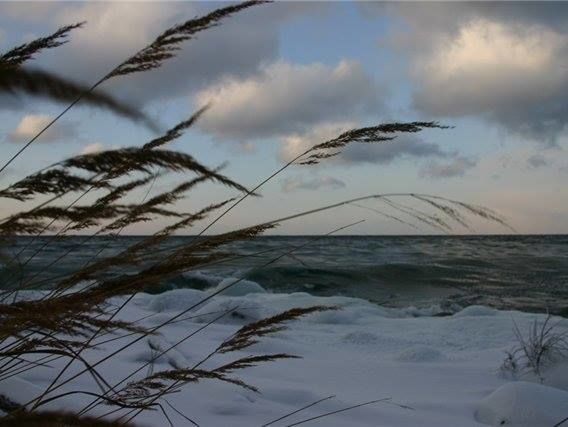 Україну 14–15 лютого чекає сильний вітер, пориви сягатимуть 20 м/с