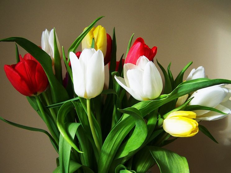 В Харькове в День святого Валентина ограбили цветочный киоск