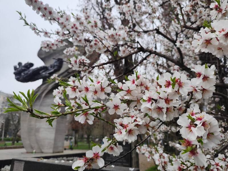 Синоптики рассказали, с какой погоды в Украине начнется  апрель
