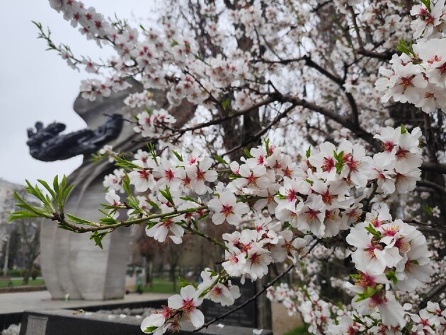 Синоптики рассказали, с какой погоды в Украине начнется  апрель