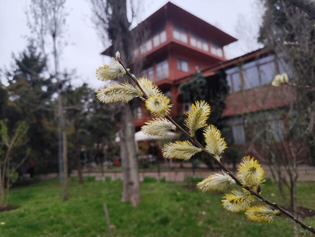 Синоптики прогнозируют 4 апреля потепление перед резким похолоданием