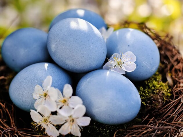 Добавьте это в воду – и крашенки станут голубого цвета. Лайфхак, как без химии покрасить яйца на Пасху