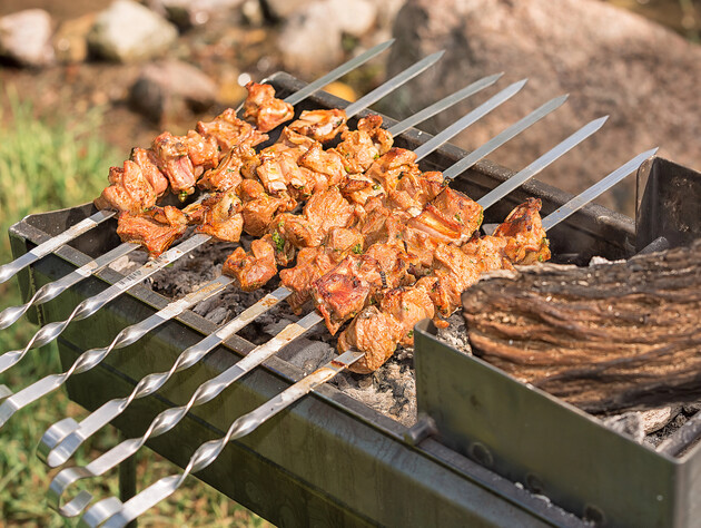 Возьмите эти дрова – и шашлык получится невероятно ароматным и сочным. Лайфхак, как вкусно пожарить мясо