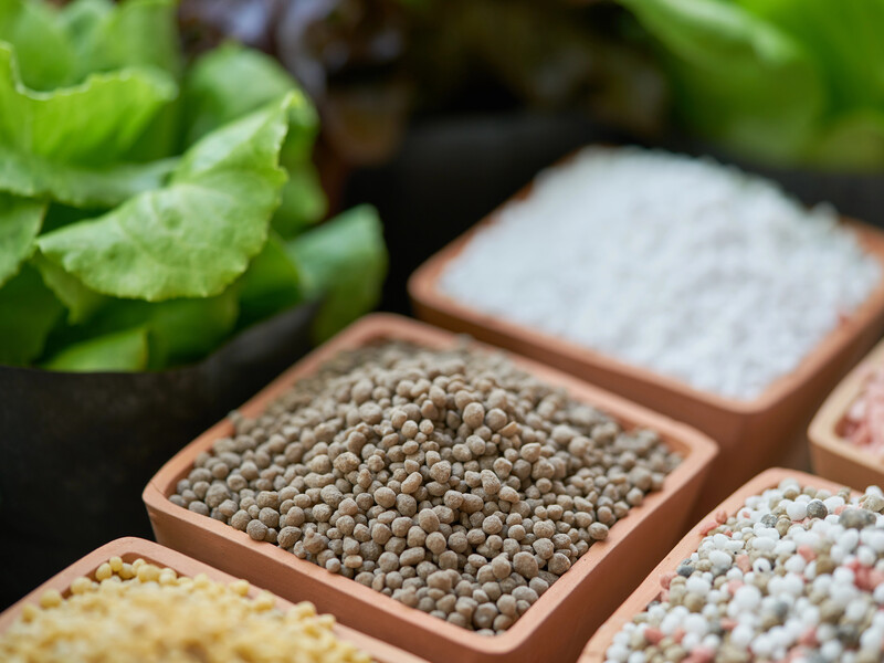 Не розумієте, що означають цифри на добривах NPK? Шпаргалка на сезон, які рослини чим підживлювати