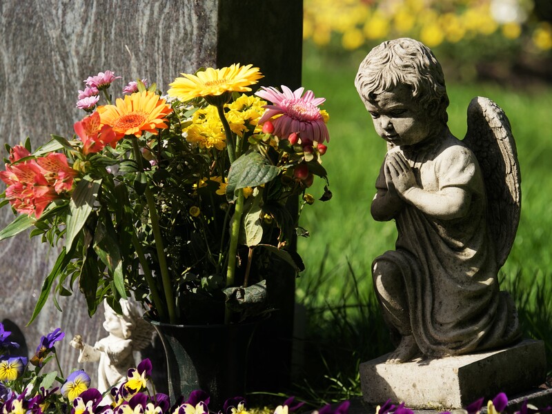 Не всюду говорят 