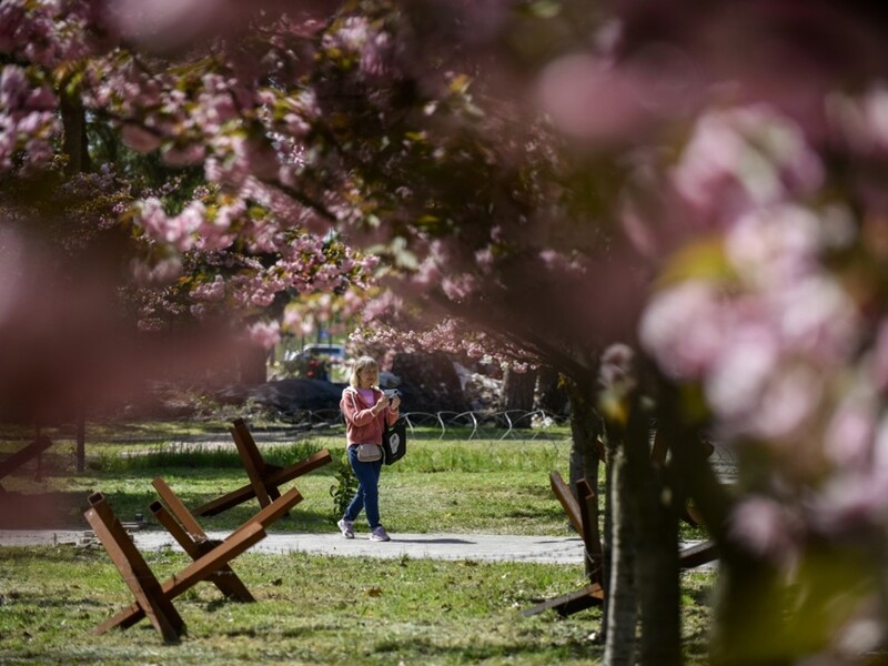 Синоптики прогнозують 15 квітня в Україні тепло й сильний вітер