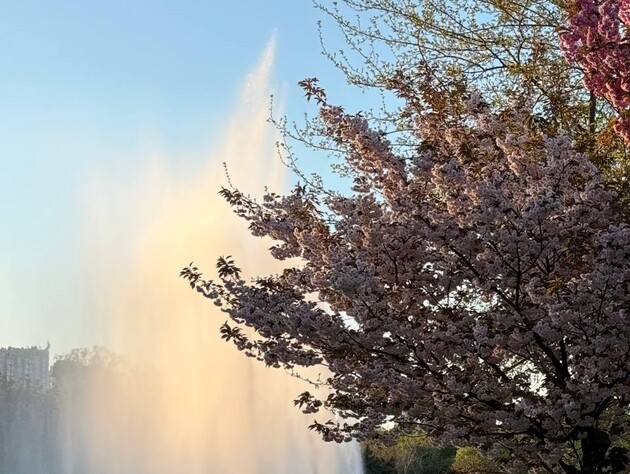 Синоптики обещают 28 апреля тепло после ночных заморозков