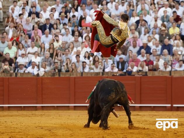 Испанского тореадора во время корриды атаковал окровавленный бык. Фото