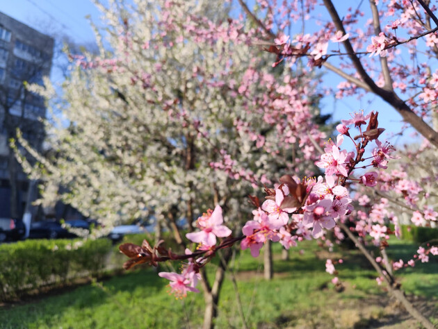 Синоптики прогнозируют в Украине постепенное потепление без дождей