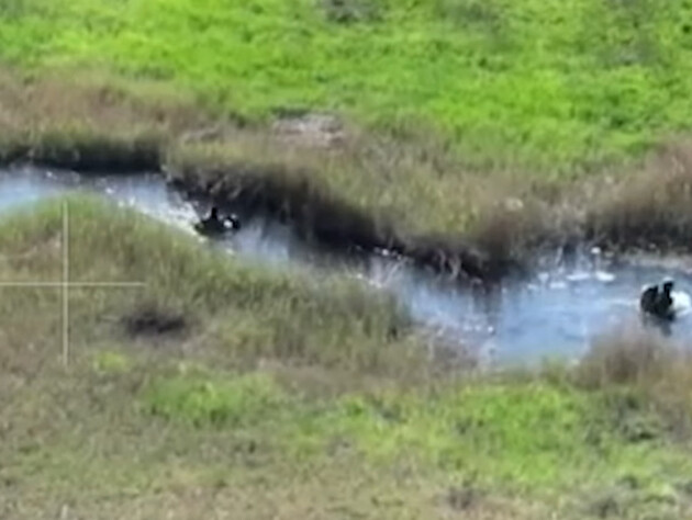 Бійці Нацгвардії України зупинили 