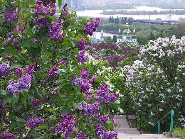 Синоптики обещают 15 мая дождь, порывы ветра и снег в Карпатах