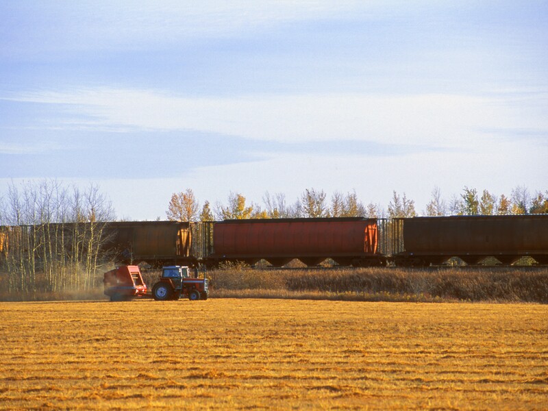 "Укрзалізниця" демонстрирует неэффективность и просит бизнес платить за это больше – эксперт