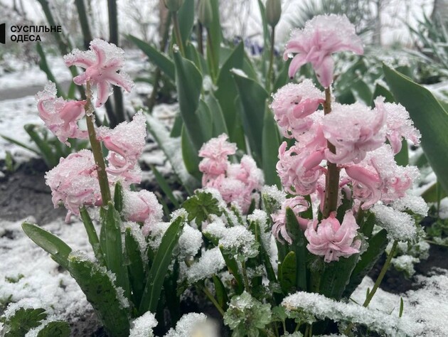Синоптики назвали регіон України, де 19 травня ймовірний дощ із мокрим снігом