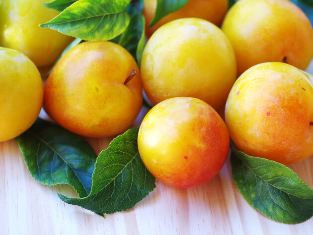 Желтые сливы являются хорошим вариантом для сада. Советы по уходу