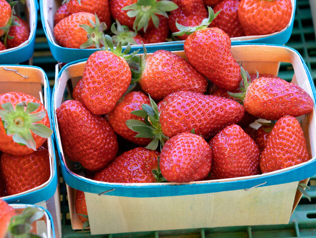 Если увидели это на ягодах – они испортились. Советы, как выбрать самую вкусную клубнику без химии