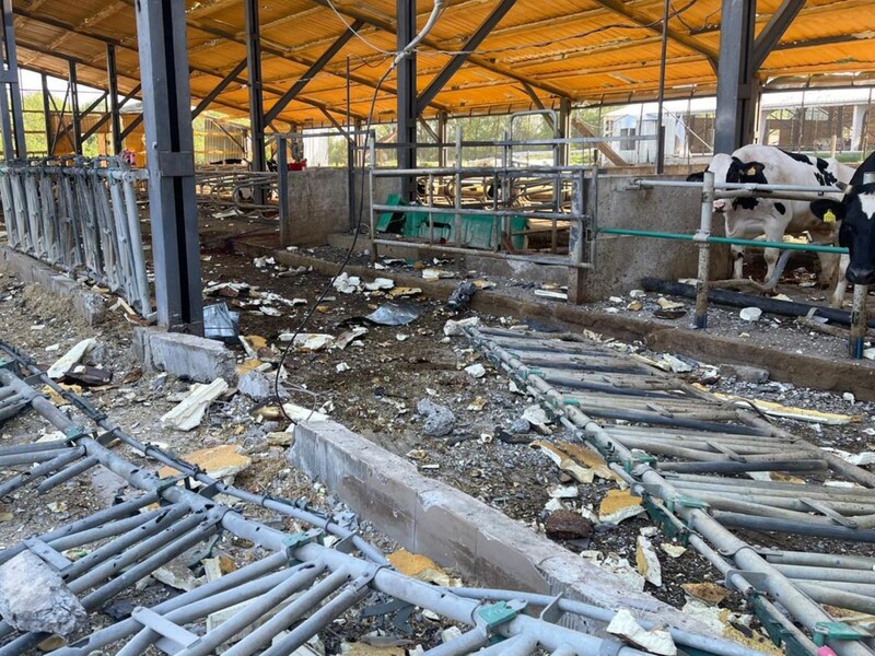 Ночью россияне атаковали три сельхозпредприятия в Харьковской области, погибли десятки животных