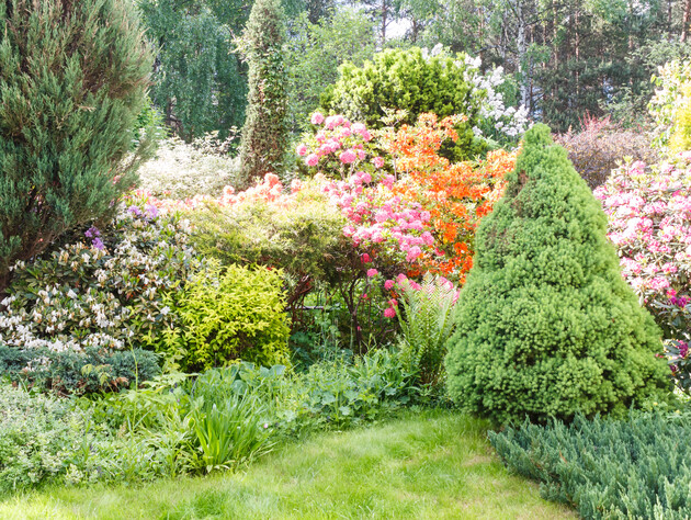 Больше никаких перекапываний: как сделать клумбу, которая цветет без усилий круглый год