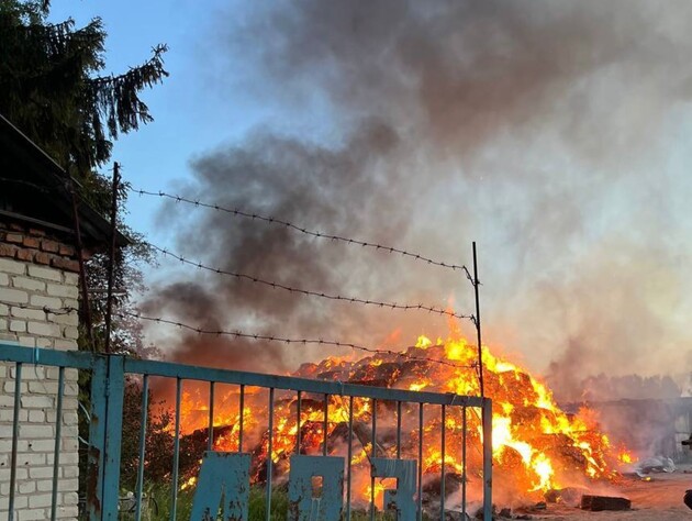 В России заявили о налете дронов на Курскую область. Видео