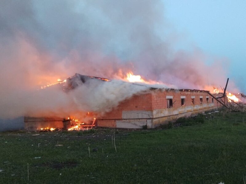 РФ разбомбила в Сумской области хлебовозку и ферму. Погибли сотни животных. Фото