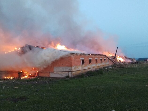 РФ розбомбила в Сумській області хлібовозку і ферму. Загинули сотні тварин. Фото