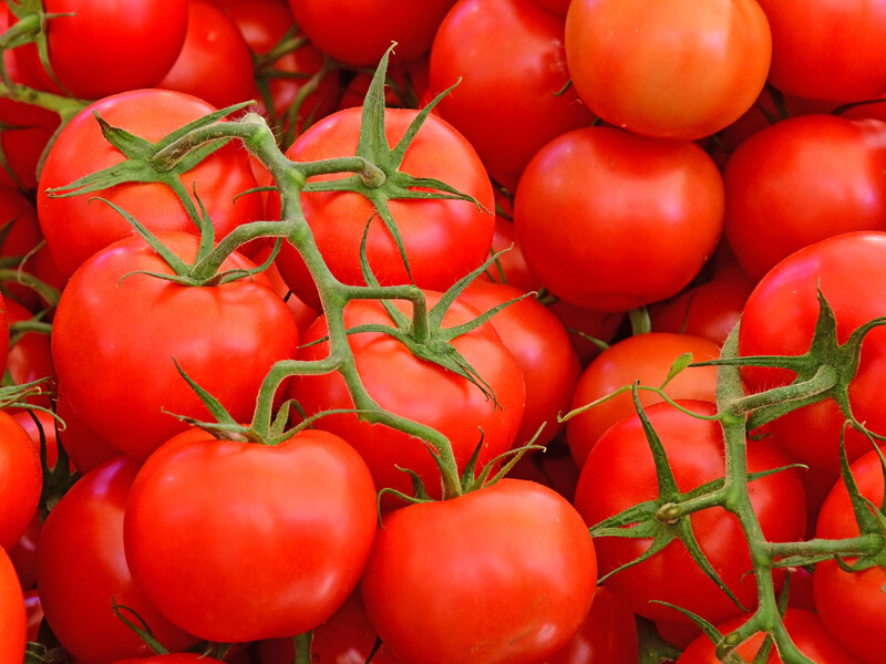 Этот отвар без химии поможет вырастить самые вкусные помидоры. Секрет огородников