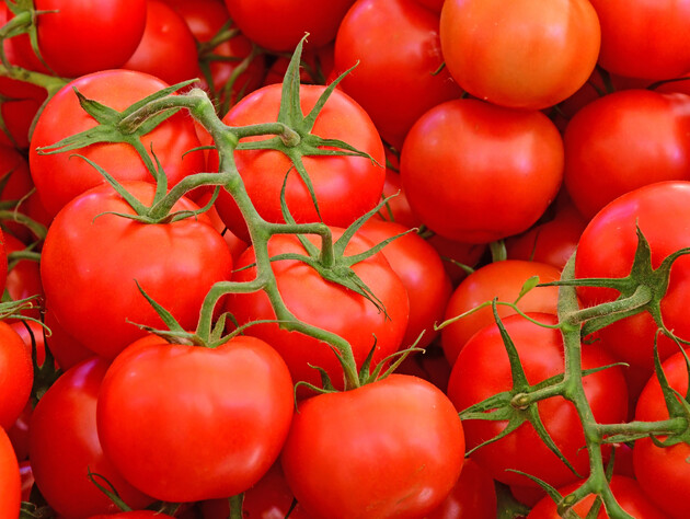 Этот отвар без химии поможет вырастить самые вкусные помидоры. Секрет огородников