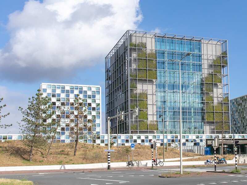 США ввели санкции против четырех судей Международного уголовного суда