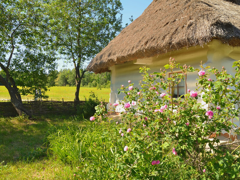Завтра – Трійця. Ось що потрібно зробити в оселі напередодні свята, яке дуже люблять в Україні