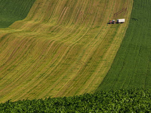 Обмеження експорту ріпаку й сої загрожують зниженням вартості землі й погіршенням інвестклімату в Україні – ЗМІ