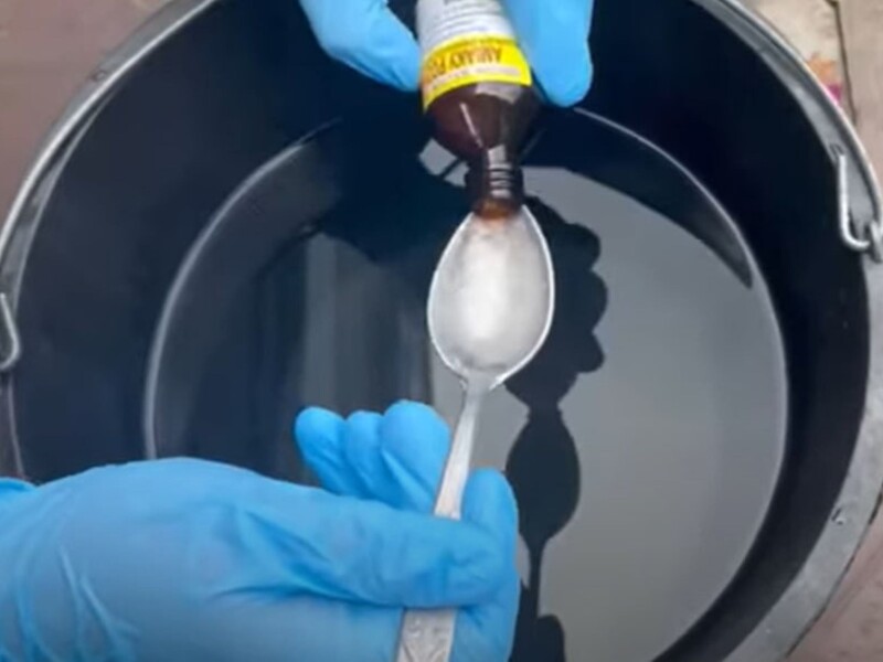 Белокрылка на глазах начнет падать с капусты после этой обработки ранним утром. Рецепт раствора