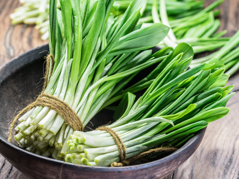 Не просто зелень, а природное лекарство: что приготовить из вкусной черемши