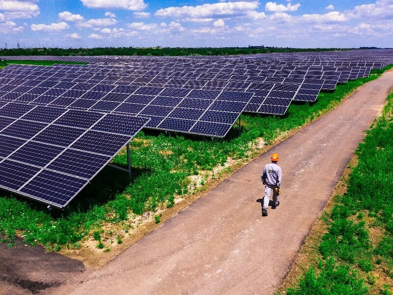 ДТЭК ВИЭ уплатила 339,5 млн грн налогов за первый квартал 2025 года