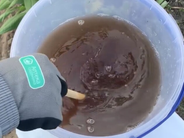 Досвідчені городники назавжди позбулися колорадського жука на картоплі завдяки цьому препарату