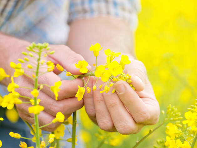 Всеукраинский аграрный совет требует от нардепов отклонить дискриминационные пошлины на экспорт сои и рапса