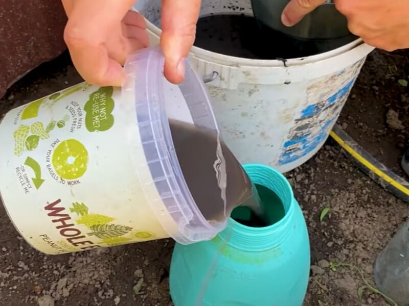 Достаточно всего двух обработок – и тля исчезнет навсегда. Рецепт эффективного раствора без химии