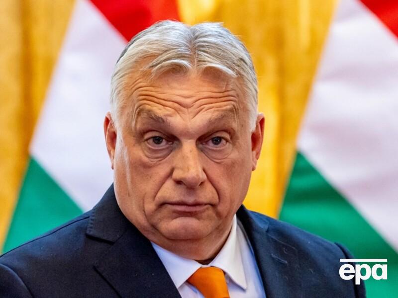 В Венгрии задержан мужчина, который хотел отрубить голову Орбану. Видео