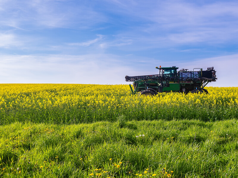 Верховная Рада не приняла введение экспортных пошлин на рапс и сою – СМИ