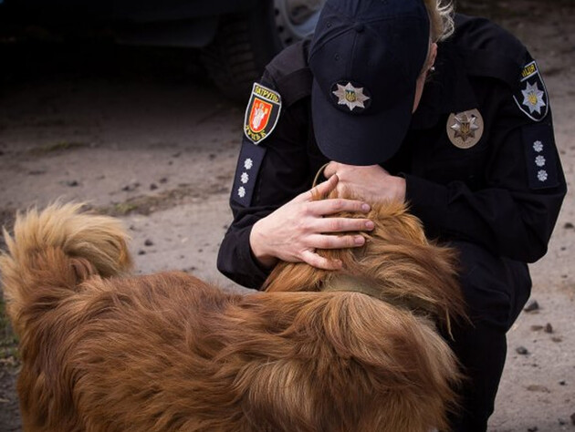 В Украине с начала года открыли рекордное количество производств из-за жестокого обращения с животными – Opendatabot