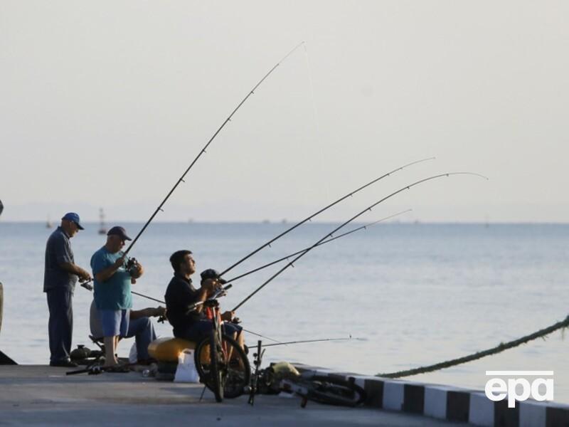 В Черном море появилась смертельно ядовитая рыба-шар. Фото