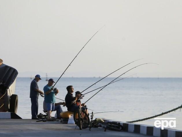 В Черном море появилась смертельно ядовитая рыба-шар. Фото