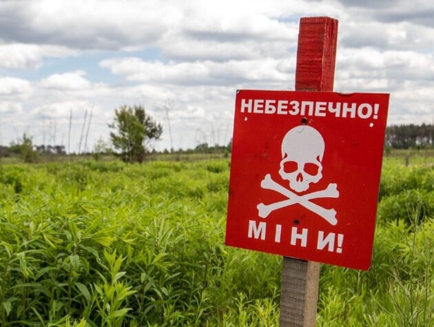 Две соседние с РФ страны вышли из Конвенции о запрете противопехотных мин